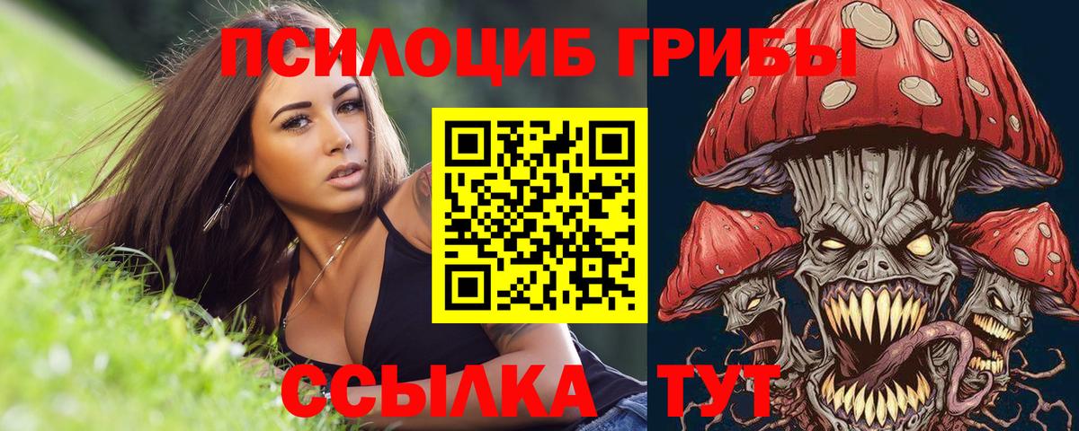 Псилоцибиновые грибы мицелий  Вход с VPN  Сибай 