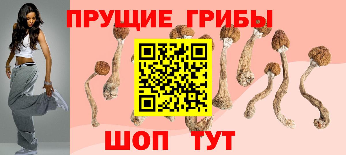Галлюциногенные грибы мицелий Сибай